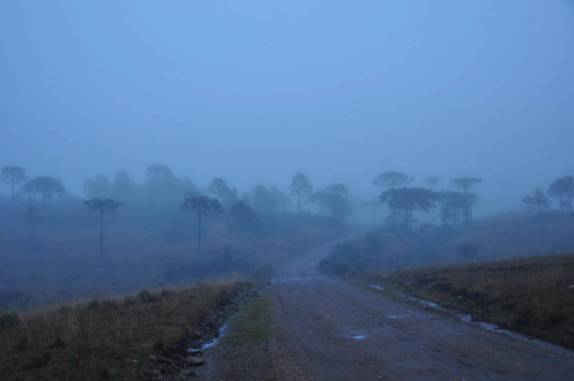Paisagem nublada e gelada na região de São José dos Ausentes - RS